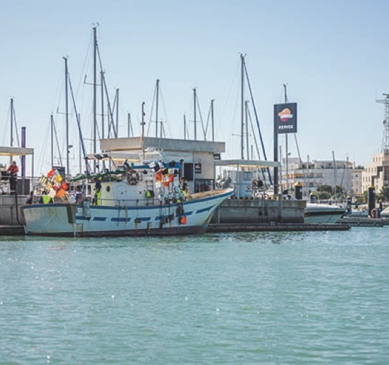 Pesca