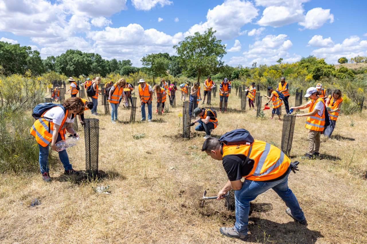 Semana_internacional_voluntariado_2022