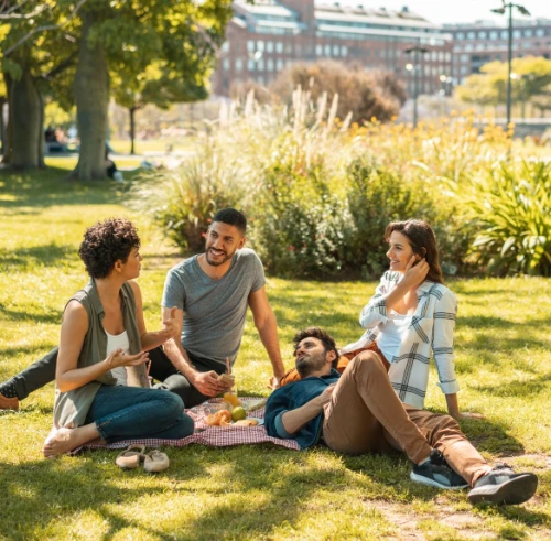 Polarbox picnic