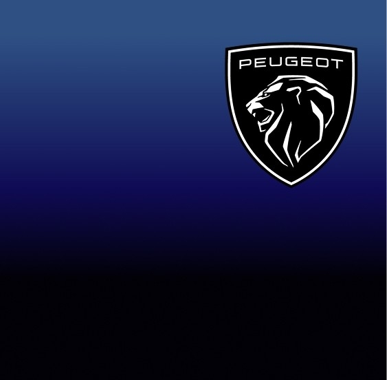 Peugeot parceiro repsol