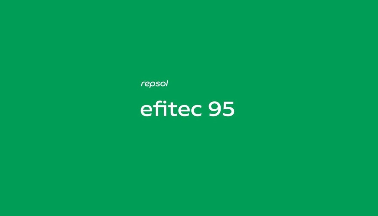 95normal - 1